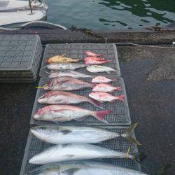 ARCADIAⅡ (アルカディアⅡ) 釣果