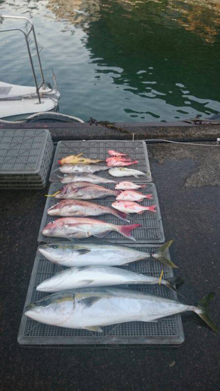 ARCADIAⅡ (アルカディアⅡ) 釣果