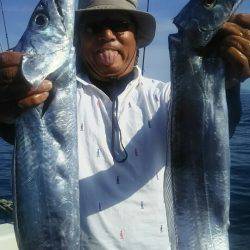 サンマリン 釣果