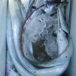 サンマリン 釣果