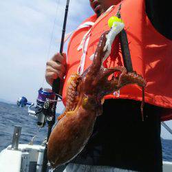 サンマリン 釣果