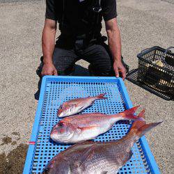 第三共栄丸 釣果