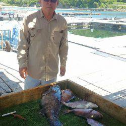 海の釣堀 海恵 釣果