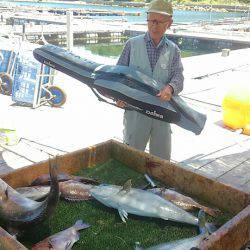海の釣堀 海恵 釣果
