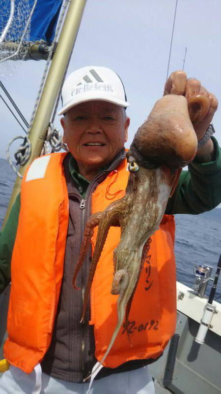 サンマリン 釣果