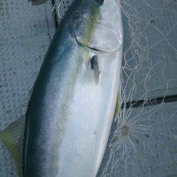 サンマリン 釣果