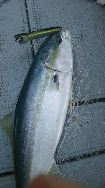 サンマリン 釣果