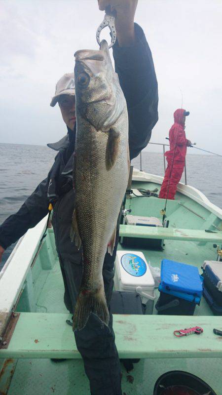 あみや渡船 JIGBOY 釣果