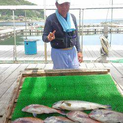 海の釣堀 海恵 釣果