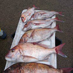 第三共栄丸 釣果