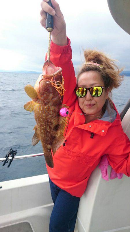 ARCADIAⅡ (アルカディアⅡ) 釣果