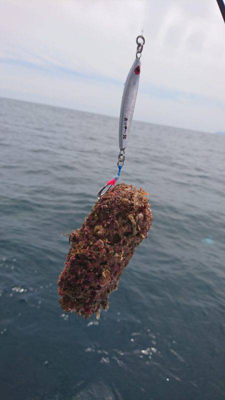 和栄丸 釣果