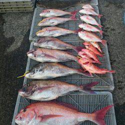 ARCADIAⅡ (アルカディアⅡ) 釣果