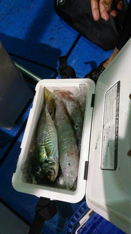 海龍丸(石川) 釣果