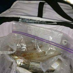 海龍丸(石川) 釣果