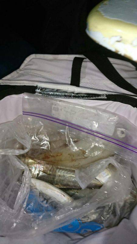 海龍丸(石川) 釣果