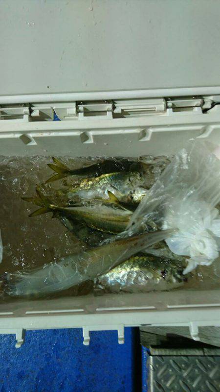 海龍丸(石川) 釣果