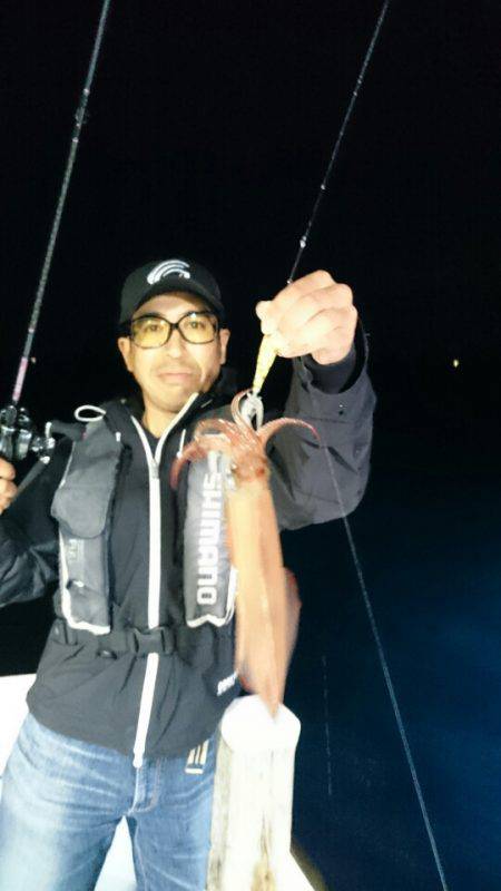 きずなまりん 釣果