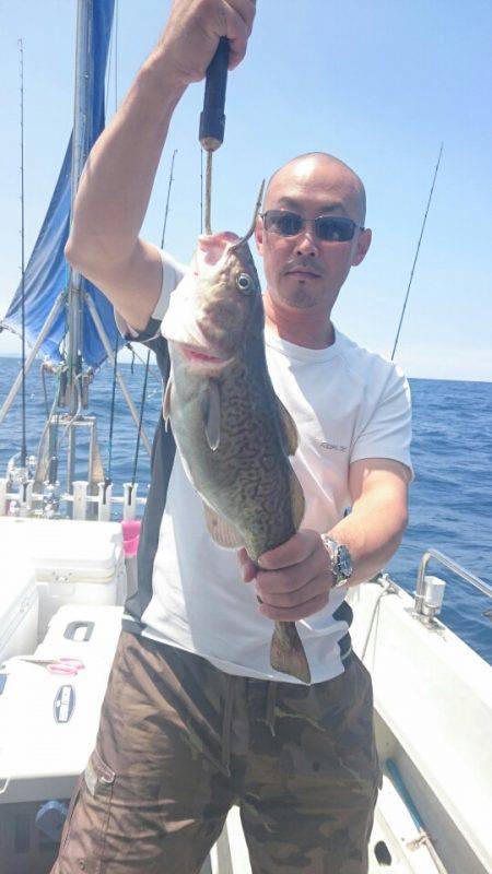 ARCADIAⅡ （アルカディアⅡ） 釣果