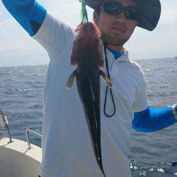 ARCADIAⅡ （アルカディアⅡ） 釣果