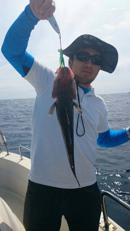 ARCADIAⅡ （アルカディアⅡ） 釣果