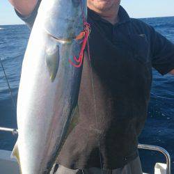 ARCADIAⅡ （アルカディアⅡ） 釣果