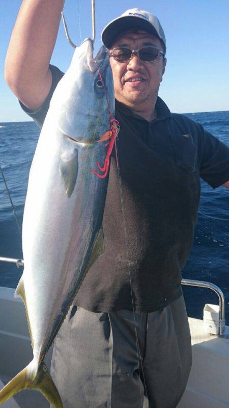 ARCADIAⅡ （アルカディアⅡ） 釣果