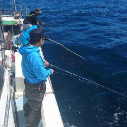 あみや渡船 JIGBOY 釣果