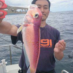 ARCADIAⅡ (アルカディアⅡ) 釣果