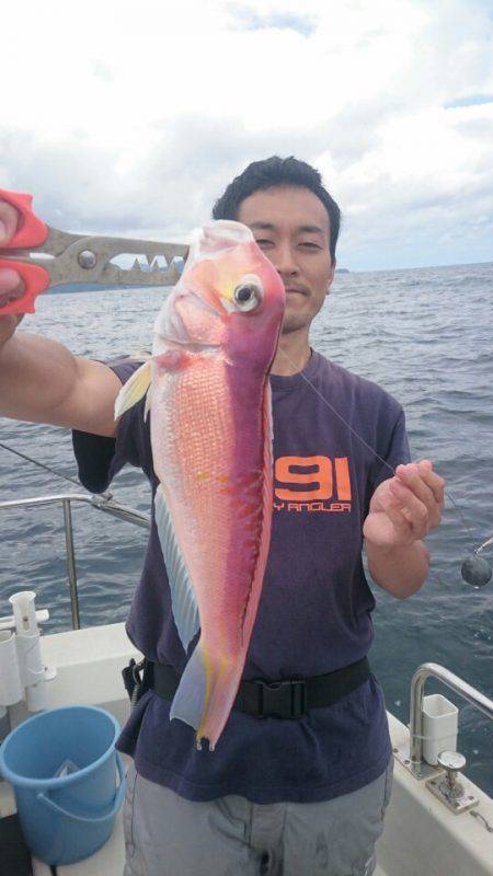 ARCADIAⅡ (アルカディアⅡ) 釣果