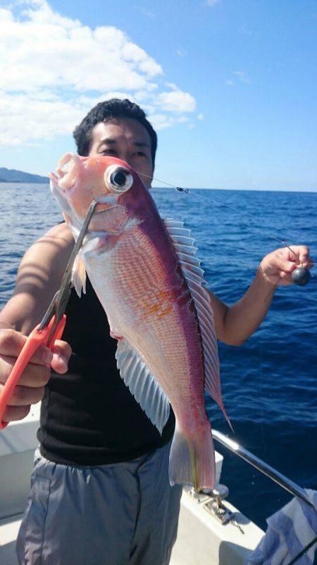 ARCADIAⅡ (アルカディアⅡ) 釣果