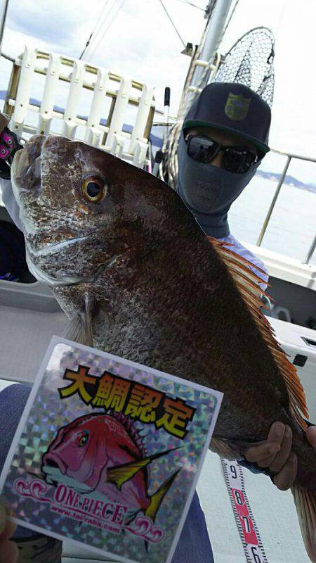 タイラバ遊漁船 ワンピース 釣果