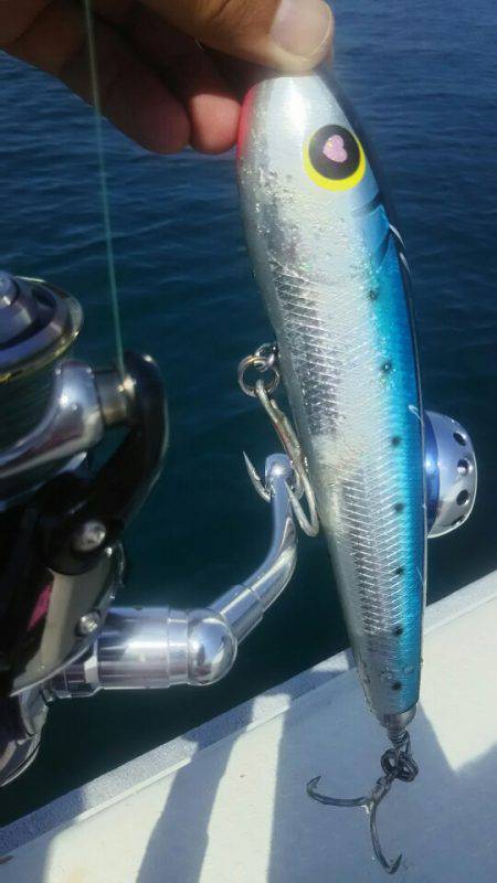 サンマリン 釣果