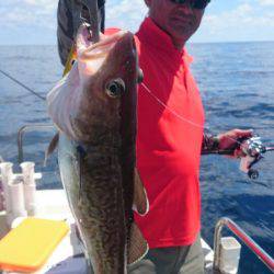 ARCADIAⅡ (アルカディアⅡ) 釣果