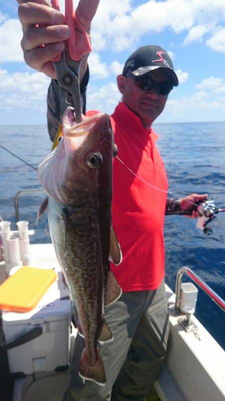 ARCADIAⅡ （アルカディアⅡ） 釣果…