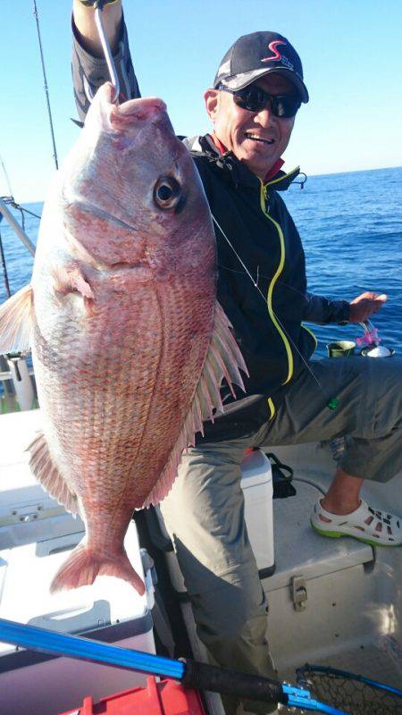 ARCADIAⅡ (アルカディアⅡ) 釣果