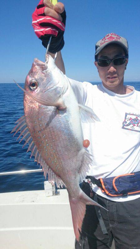 ARCADIAⅡ (アルカディアⅡ) 釣果