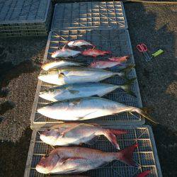 ARCADIAⅡ (アルカディアⅡ) 釣果