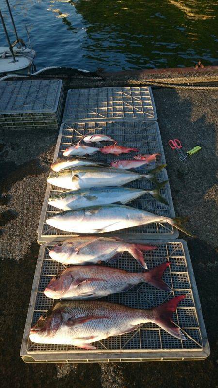 ARCADIAⅡ (アルカディアⅡ) 釣果