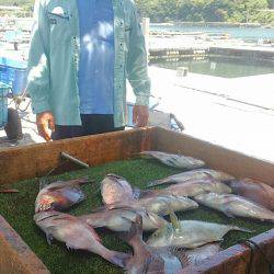 海の釣堀 海恵 釣果