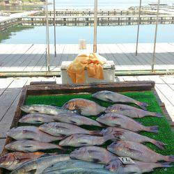 海の釣堀 海恵 釣果