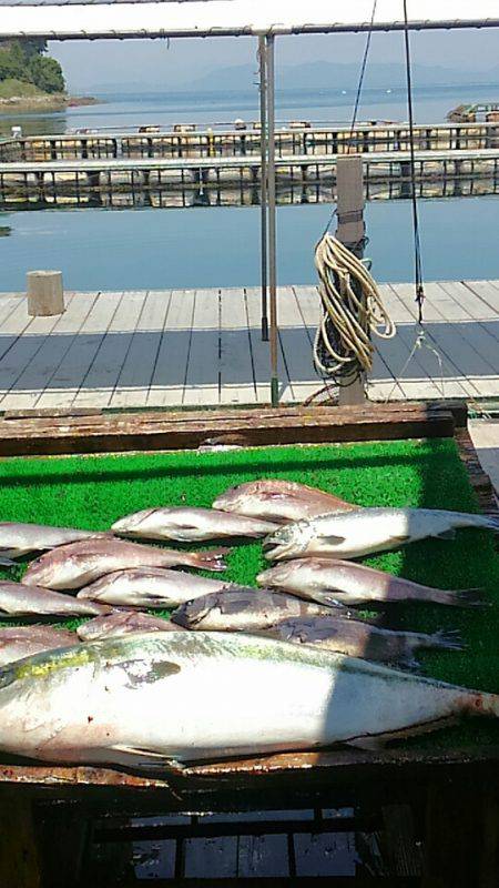 海の釣堀 海恵 釣果