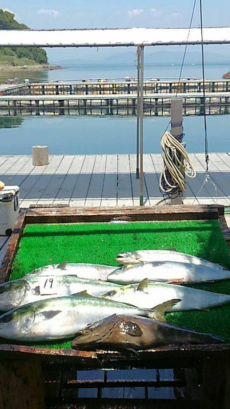 海の釣堀 海恵 釣果