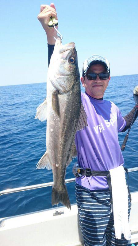 ARCADIAⅡ (アルカディアⅡ) 釣果