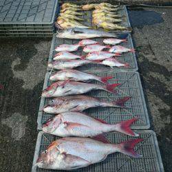 ARCADIAⅡ (アルカディアⅡ) 釣果