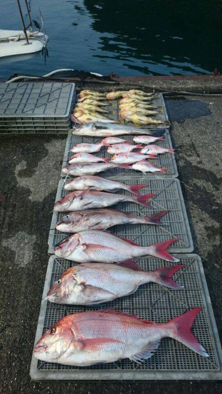 ARCADIAⅡ (アルカディアⅡ) 釣果