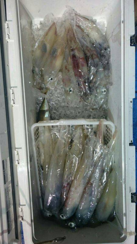 海龍丸（石川） 釣果