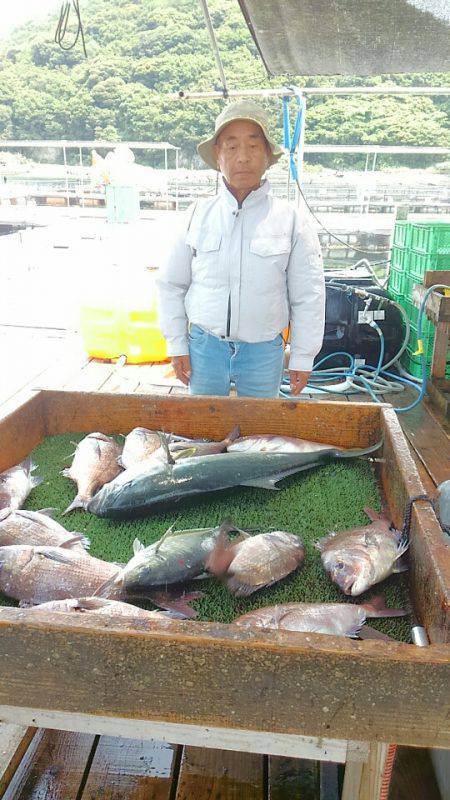 海の釣堀 海恵 釣果
