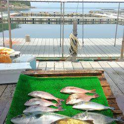 海の釣堀 海恵 釣果