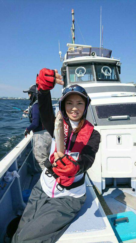 金沢八景鴨下丸 釣果